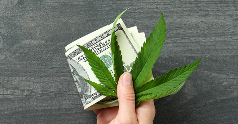 Hand holding a hemp leaf and money